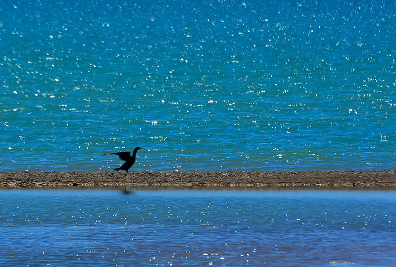 dsc_0706a.jpg
