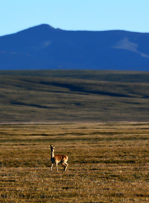 dsc_0477a.jpg