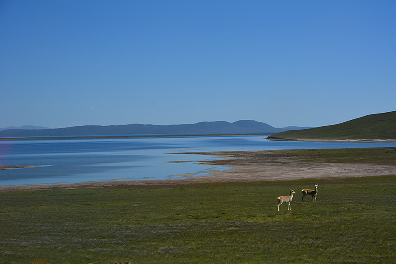 dsc_0666a.jpg