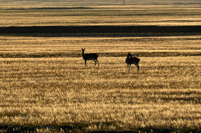dsc_0467a.jpg