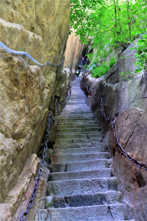 dsc_8096_.jpg