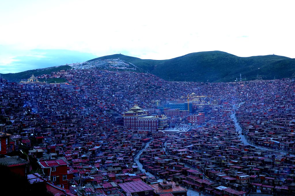 083a2010.jpg