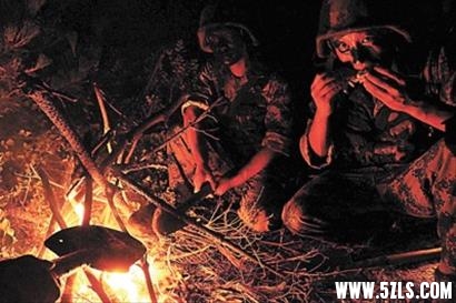 m_391461.jpg