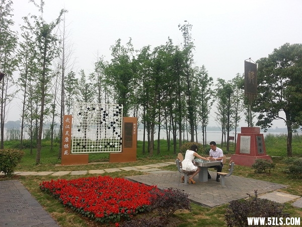20140519_103049.jpg