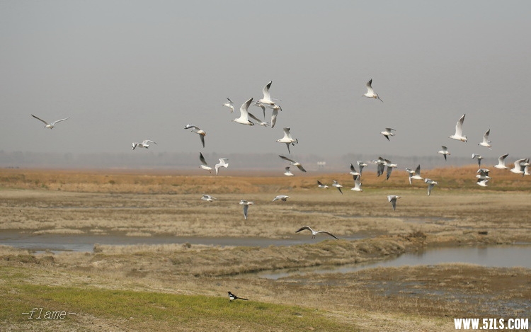 IMG_6679.JPG
