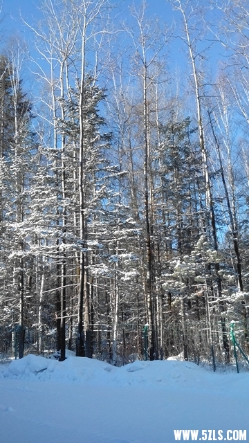 162423nkfjthsbgktmjvgv.jpg