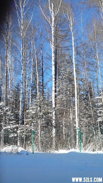 162506hxj99j10df086z8f.jpg