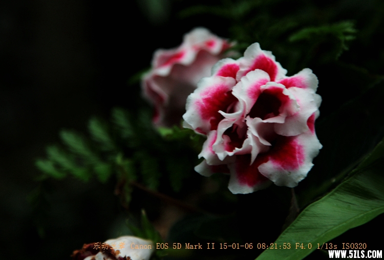 IMG_6280_.jpg