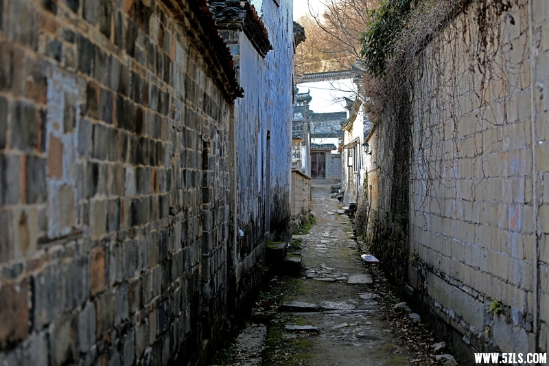AW6A4503_.jpg