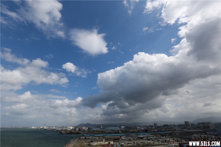 IMG_1335_1.jpg