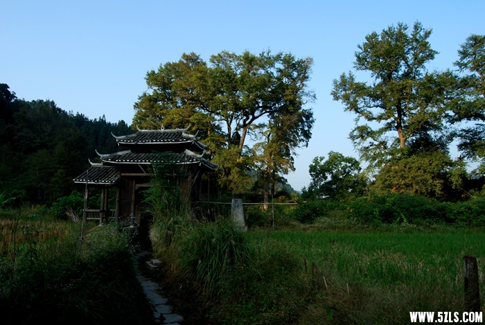 DSC_5129.JPG