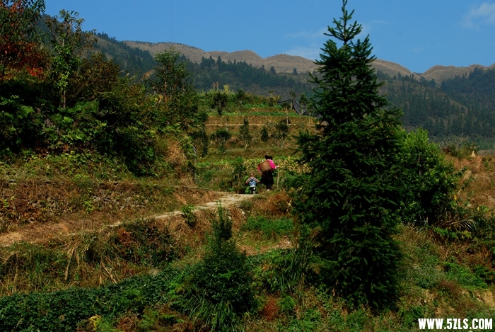 DSC_5621.JPG