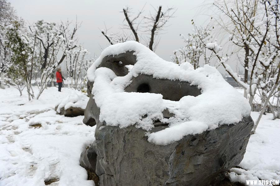 _DSC0116 (61)__.jpg