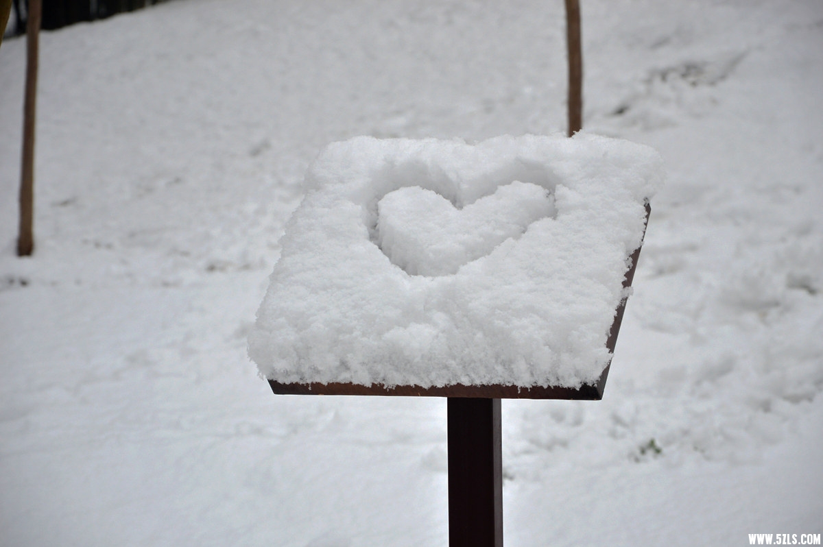 DSC_0019.jpg