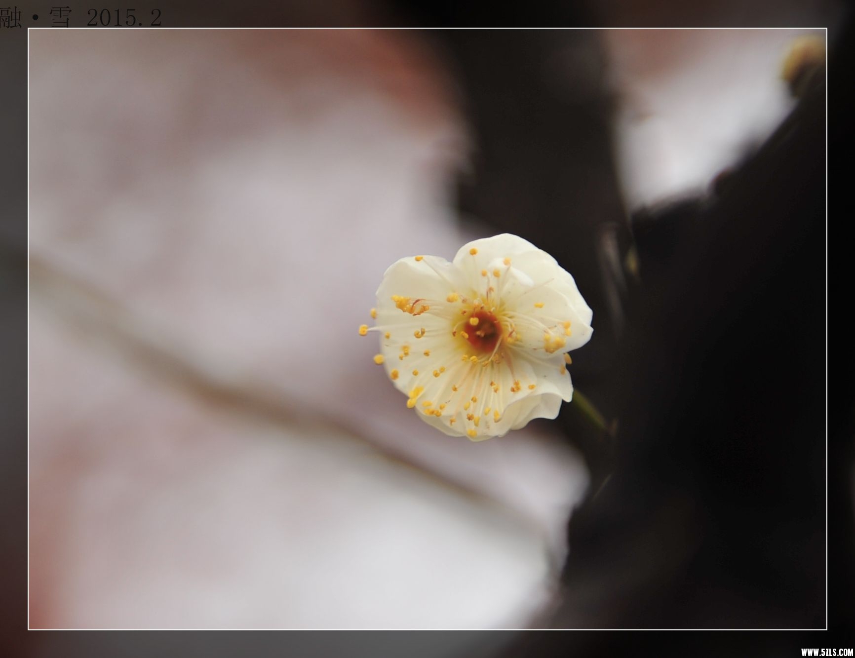 DSC_8434_.jpg
