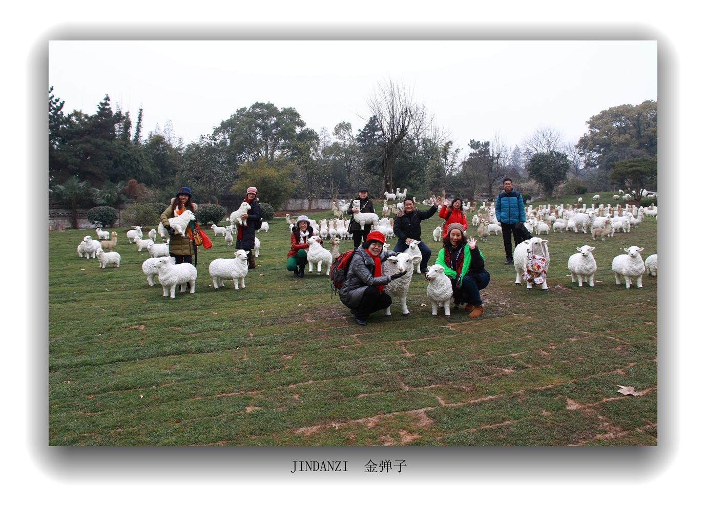 IMG_2313.jpg