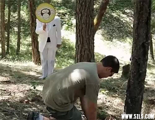 3.webp.jpg