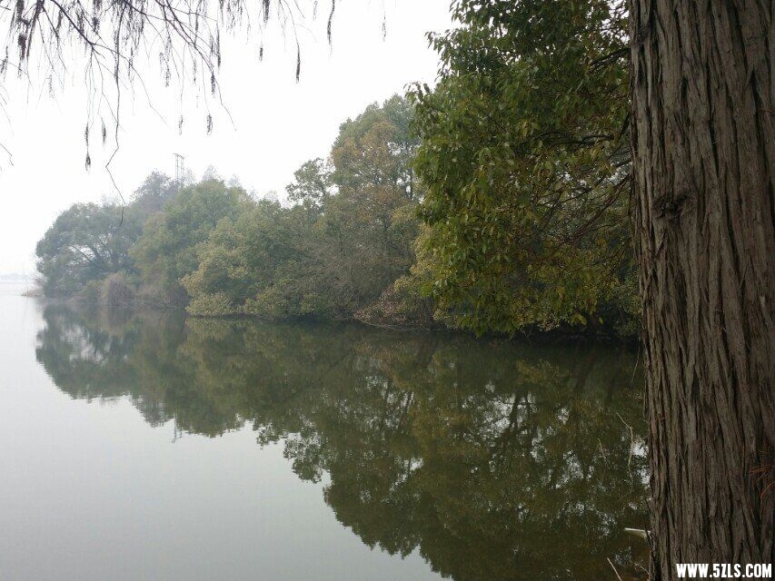 QQͼƬ20150205184801.jpg