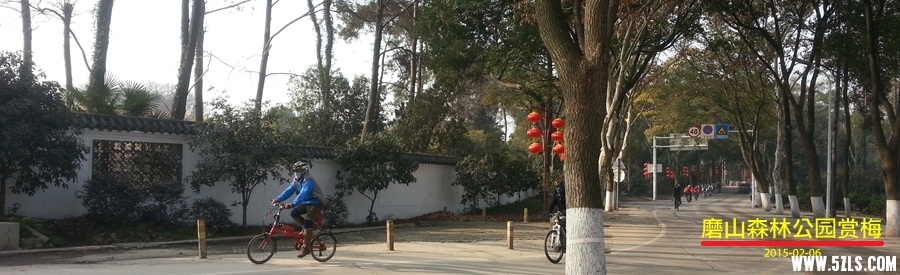 20150206_094316_.jpg