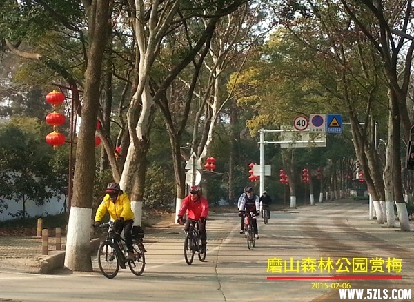 20150206_094328_.jpg
