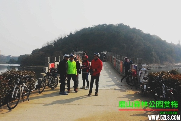 20150206_103252_.jpg