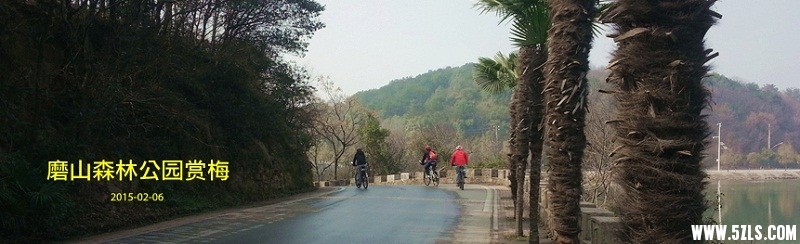 20150206_115651__.jpg