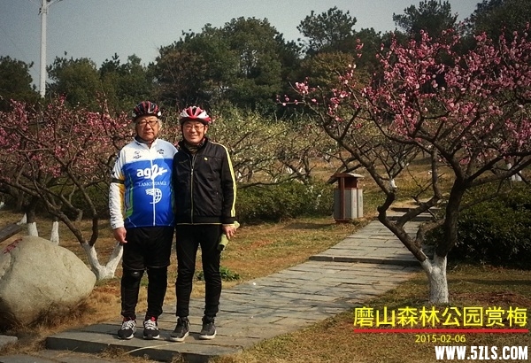20150206_114046_.jpg