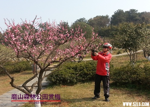 20150206_114055_.jpg