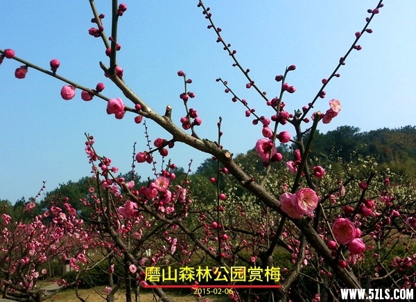 20150206_114024_.jpg