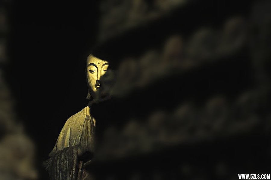 _DSC1001_副本_副本.jpg