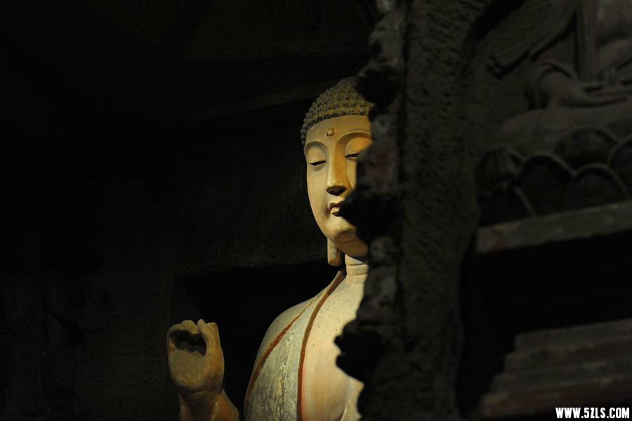_DSC1003_副本_副本.jpg