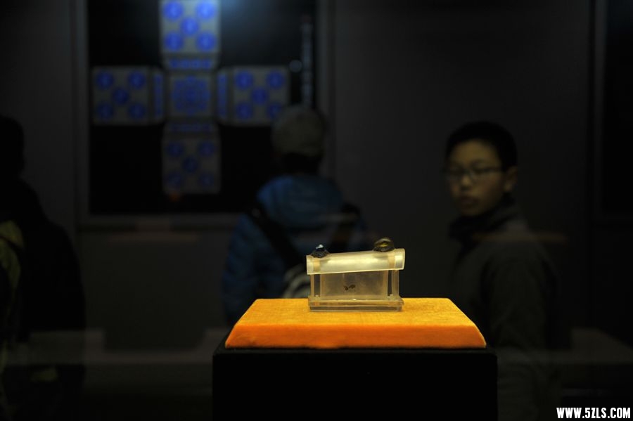 _DSC2415_副本.jpg