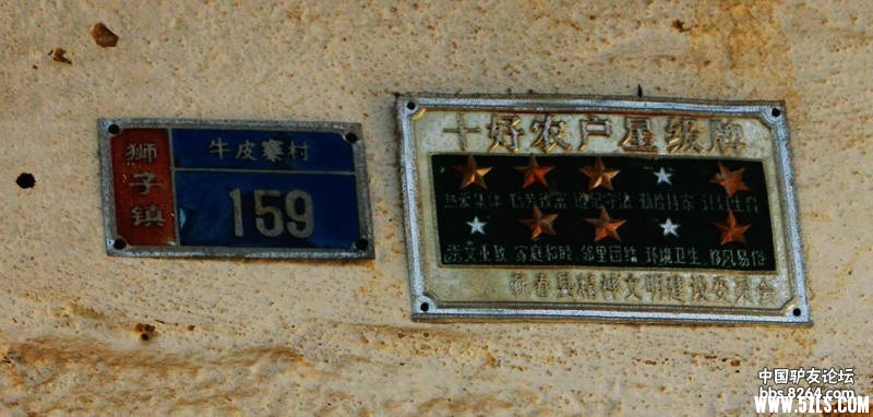 113352j0rbtb449db0tzil.jpg