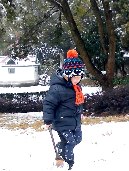 IMG_20150201_121753.jpg