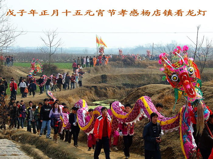 20080505_0a3de66955c720f6076f38L78UpBQxNB.jpg