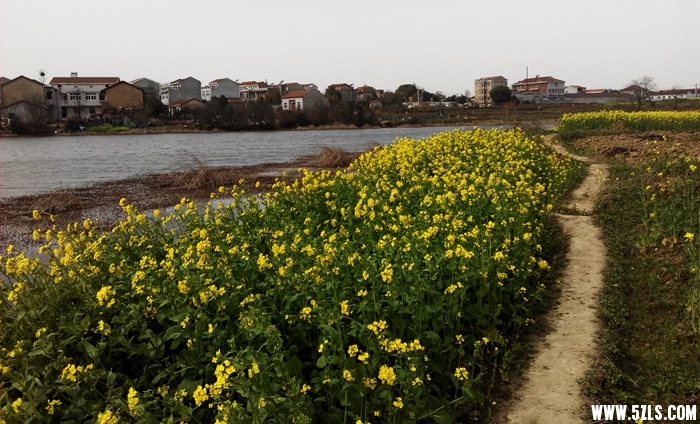 IMG_20150303_143207.jpg