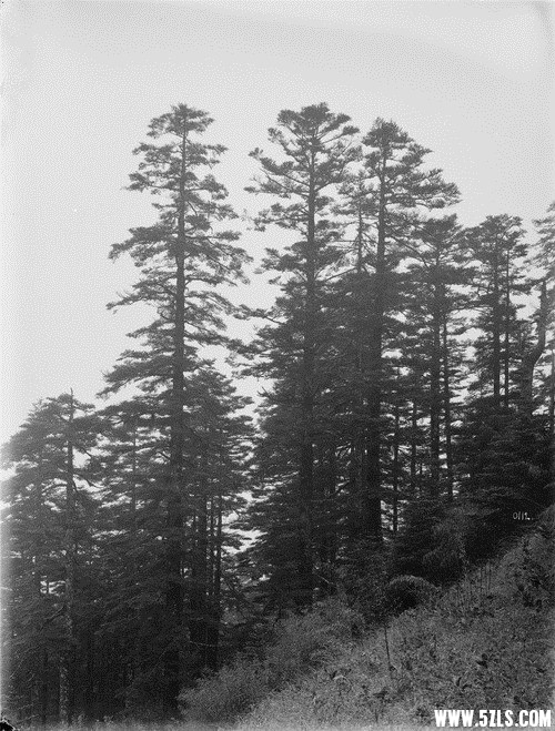 032.jpg