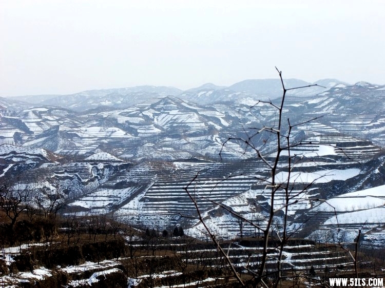 DSCF3585.JPG