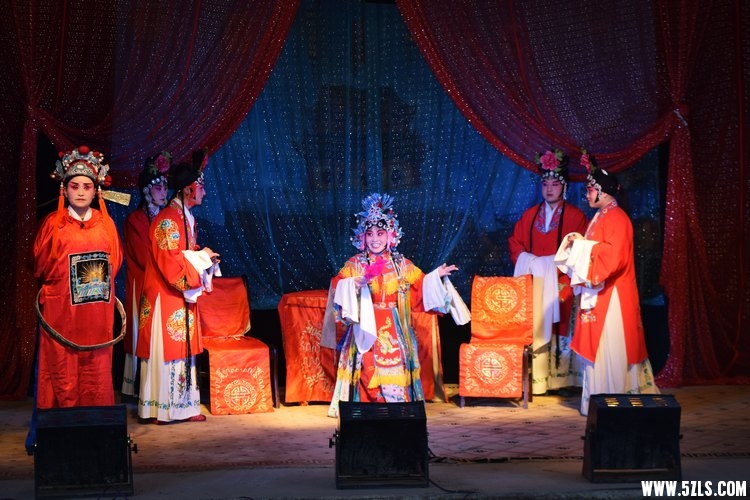 DSC_2010.JPG