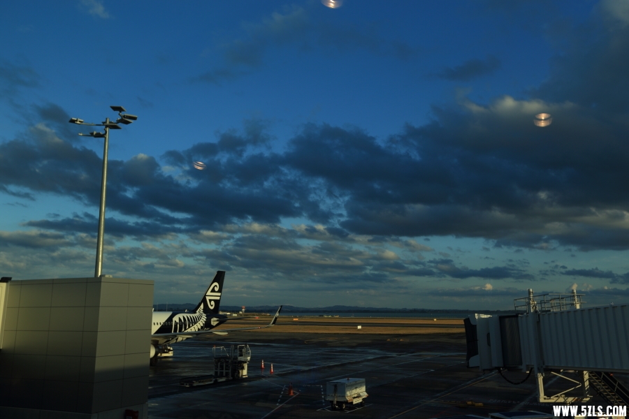_MG_0040.JPG