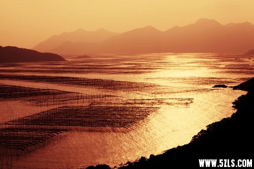 IMG_9797__.jpg
