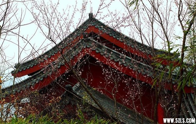 QQͼƬ20150302232226.jpg