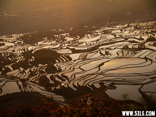 P1130874_副本.jpg