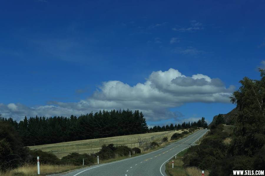 _08A8287.JPG