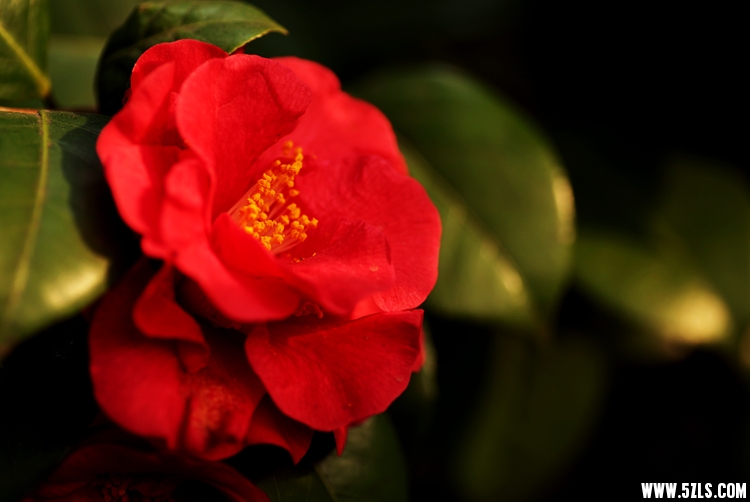 IMG_7878_.jpg