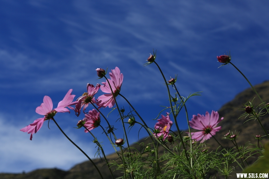 _08A8406.JPG