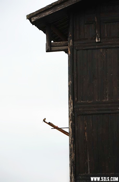DSC_3323__.jpg