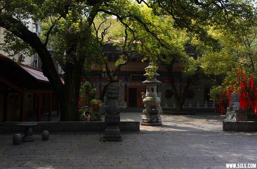 DSC_3425_副本_副本.jpg