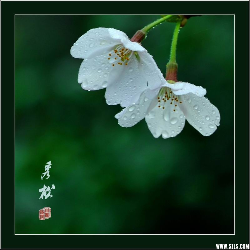 С ӣ03.jpg