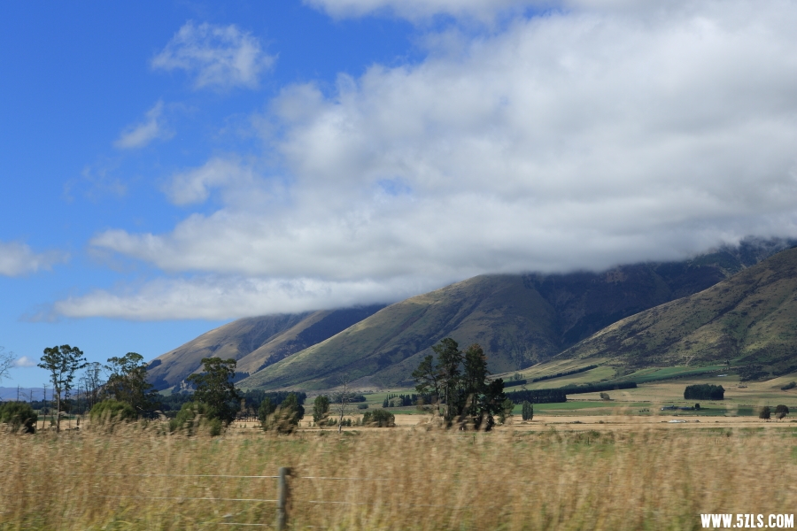 C08A8875.JPG